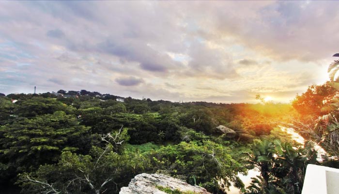 Sapphire Views | Nearby Attractions | Uvongo Nature Reserve